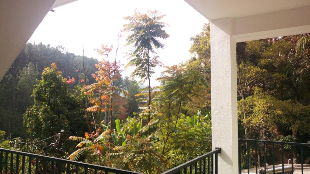 Misty Elegance - Ella. Hotel Екстериор снимка